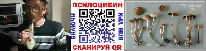 Псилоцибиновые грибы Cubensis  закладка  Домодедово 