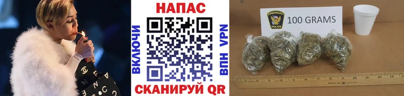 наркота Домодедово Шишки марихуана сатива